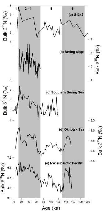 Downcore profiles of bulk δ15N values at (a) Site U1343, (b) core PC24A in the northern slope of the Bering Sea [Kim et al., 2011], (c) core JPC17 in the southern Bering Sea [Brunelle et al., 2007], (d) core GGC27 in the Okhotsk Sea [Brunelle et al., 2010], and (e) core PC13 in the northwestern subarctic Pacific [Brunelle et al., 2010] over the last 200 ka. Vertical shaded intervals represent glacial periods and the numbers at the top indicate MIS (marine isotope stage).