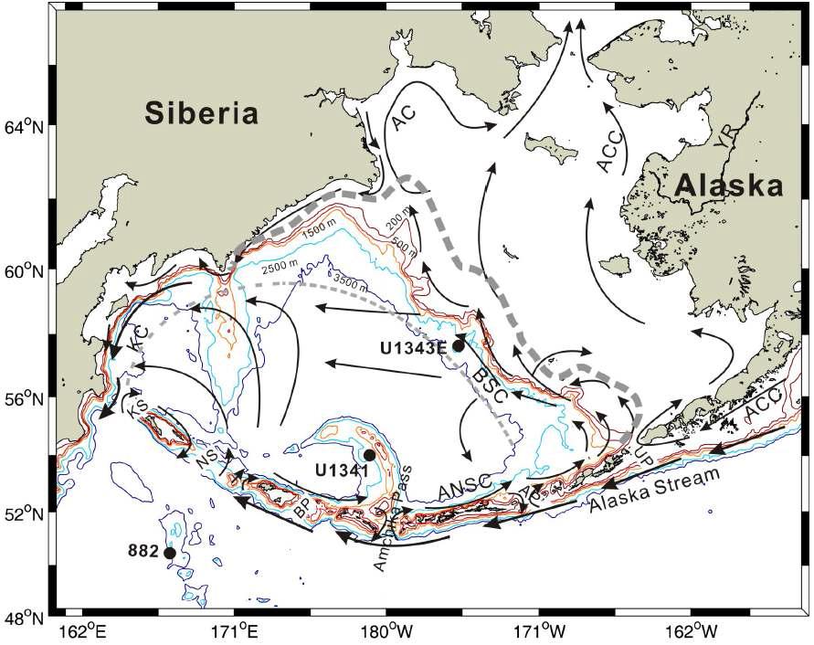 Schematic bathymetry of the Bering Sea including the location of Hole U1343E. Arrows show the direction of major surface currents (BSC: Bering Slope Current, ANSC: Aleutian North Slope Current, KC: Kamchatka Current, AC: Anadyr Current, ACC: Alaska Coastal Current). KS: Kamchatka Strait, NS: Near Strait, BP: Buldir Pass, AP: Amutka Pass, UP: Unimak Pass. The thick dashed line represents glacial coastline and the thin dashed line represents seasonal sea-ice coverage during the last glacial period