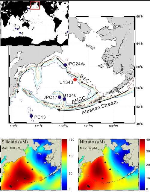 Locations of Site U1343 and cores referred in this study and annual surface water silicate and nitrate concentrations (unit in μM) (source from Garcia et al. [2010]). BSC: Bering Slope Current, ANSC: Aleutian North Slope Current. 1: GGC-27, 2: MD97-2101, 3: MD88-769, 4: E50-11, and 5: RC13-259. Detailed core information is summarized in Table 1.
