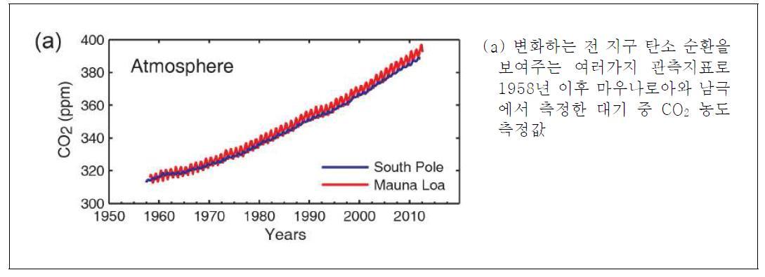 전 지구 탄소순환 관측지표