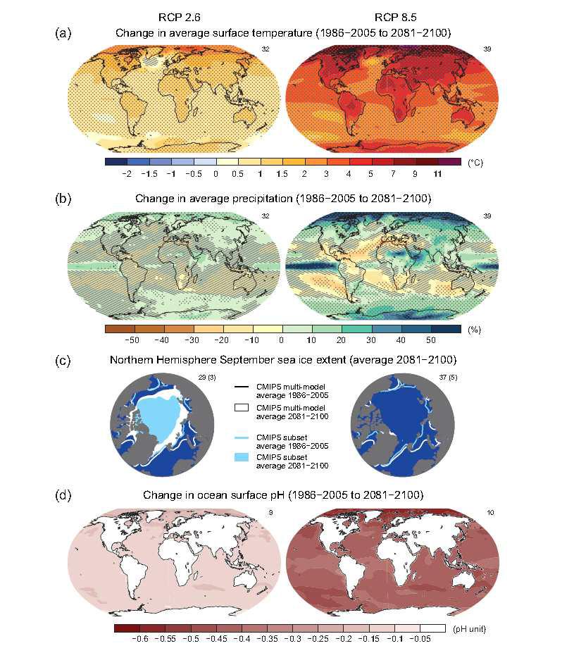 Maps of CMIP5 multi-model mean results for the scenarios RCP2.6 and RCP8.5 in 2081–2100 of (a) annual mean surface temperature change, (b) average percent change in annual mean precipitation, (c) Northern Hemisphere September sea ice extent, and (d) change in ocean surface pH. Changes in panels (a), (b) and (d) are shown relative to 1986–2005
