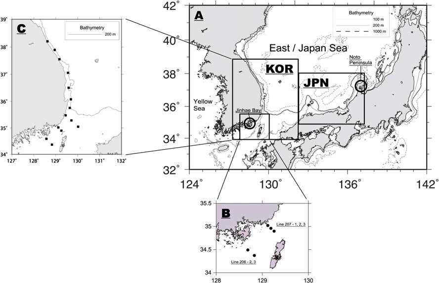 Map of study area showing spawning locations (○) in the southern East/Japan Sea (A). 7. KOR and JPN indicate the areas of cod catch data collected in Korea and Japan, respectively. Five oceanographic observation stations (Line 206–2, 3 and Line 207–1, 2, 3) were selected to determine the characteristics of spawning habitat (B) in Korean waters. The left panel shows sampling stations for zooplankton (▪) in the coastal nursery areas. (C)