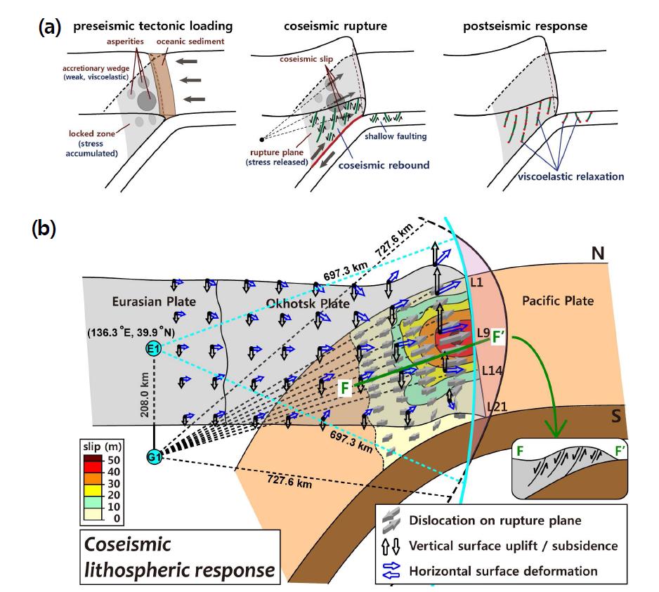 (a) 동일본 대지진이 발생한 지역에서의 지진 전 지구조 변화, 지진의 파열과 지진 후 변형 에 대한 암권 반응의 도식적 모델. (b) 대지진 발생시 암권의 반발 모델. 큰 융기는 스플레이 단층이 발달한 큰 슬립이 발생한 슬랩 경계 위의 해저면에서 관찰되었다. 큰 침하는 내륙과 큰 슬립이 발생한 지역 사이의 전호 지역에서 관찰되었다.