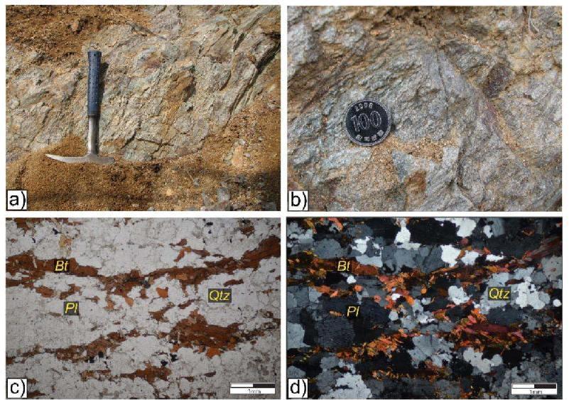 선캠브리아기 흑운모 편마암의 노두사진(a, d) 및 박편사진(c, d), PPL (c), XPL (d); Qtz: quartz, Bt: biotite, Pl: plagioclase.