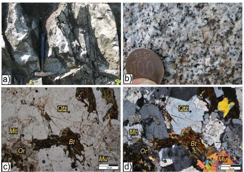 시대미상 복운모 화강암의 노두사진(a, d) 및 박편사진(c, d), PPL (c), XPL (d); Qtz: quartz, Mc: microcline, Or: orthoclase, Bt: biotite, Mu: muscovite.