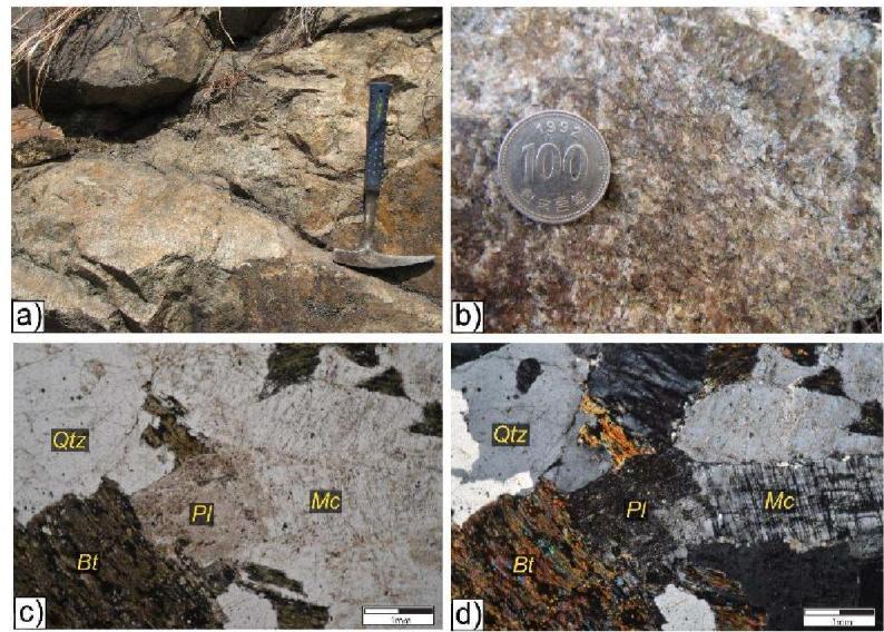 쥐라기 흑운모 화강암의 노두사진(a, d) 및 박편사진(c, d), PPL (c), XPL (d); Qtz: quartz, Pl: plagioclase, Mc: microcline, Bt: biotite.