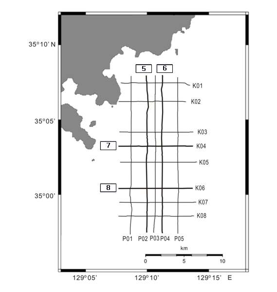 Fig. 3-4. Locations of seismic profiles collected in the fault zone.