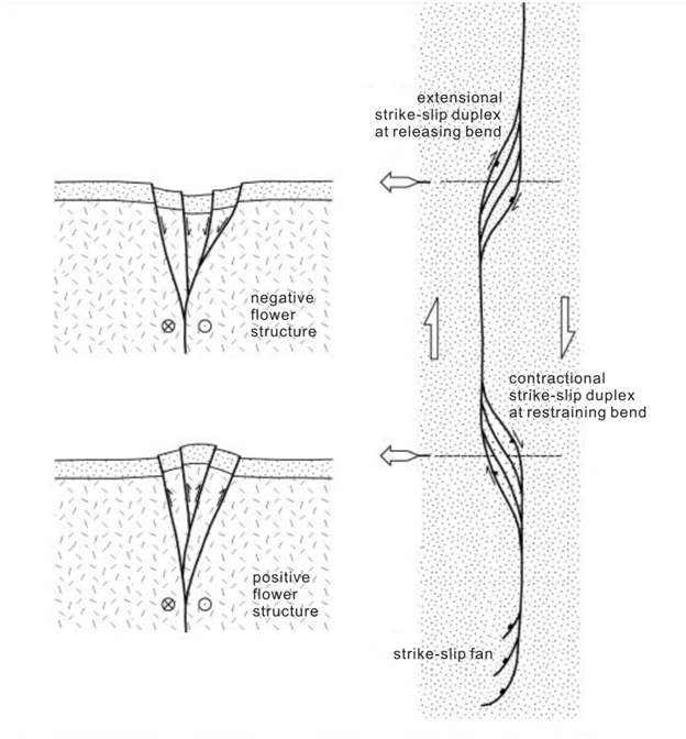 Fig. 3-10. Map and cross-sections of a general strike-slip fault system, showing flower structures and duplexes developed at bends (modified from Woodcock and Rickards, 2003).