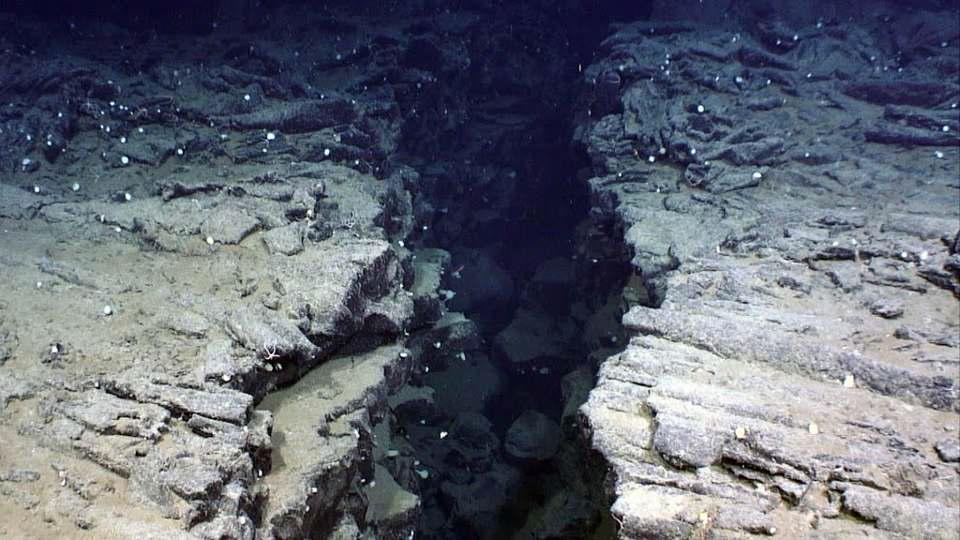 Endeavour segment 중앙부의 hydrothermal vent field 지역에서 발견된 fissure (Credit: CSSF / Ocean Networks Canada). Endeavour segment의 활발한 열수 시스템은 이러한 fissure 또는 crack 이 상부 해양지각에 만연하기 때문으로 보인다.