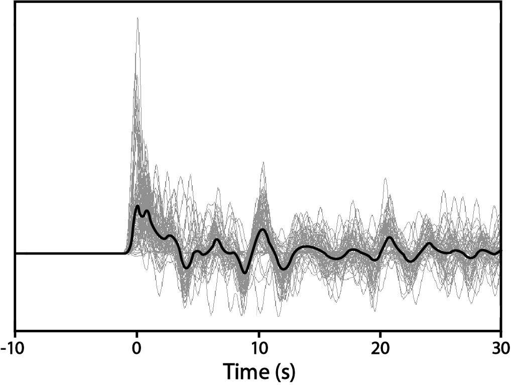 Radial component of receiver functions (gray curves) and their stacked trace (black curve) derived from 71 teleseismic events recorded at the WIZ station.