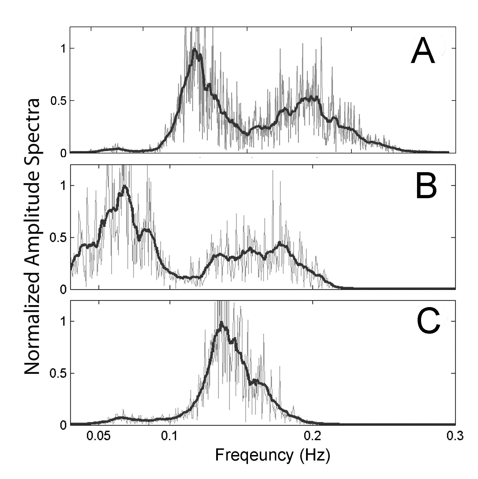 Various spectral patterns of seismic noise. Microseism spectra of (a) multiple peaks; (b) contaminated by transient source, earthquakes; (c) sharp and clear single peaks. Microseism spectra shown in (a) and (b) are contaminated by the unknown source and earthquakes, respectively. However the strong oceanic cyclone dominate microseism noise filed, sharp and clear single peak dominate microseisms spectrum. Grey line, and Blue line denotes Fourier transform of observed microseisms spectra and smoothed line, respectively.