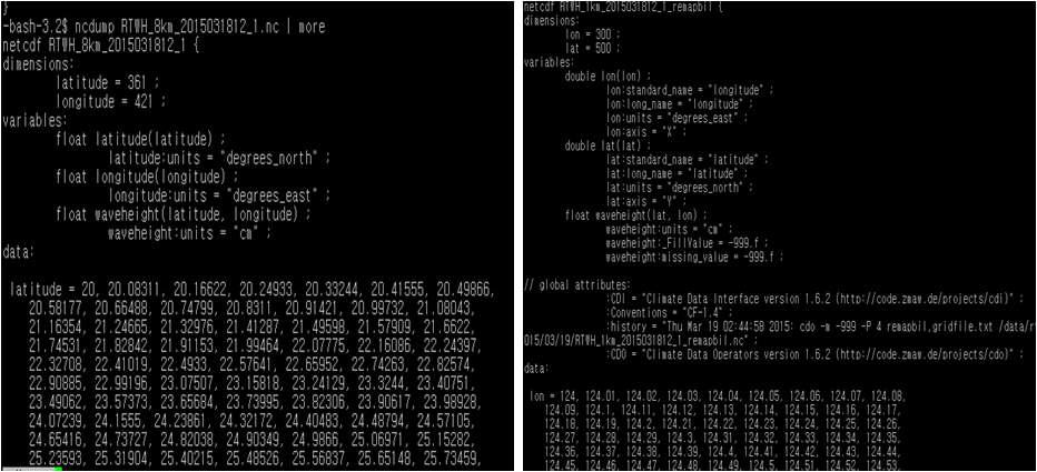8km X 8km nc파일(좌), 1km X 1km nc파일(우)