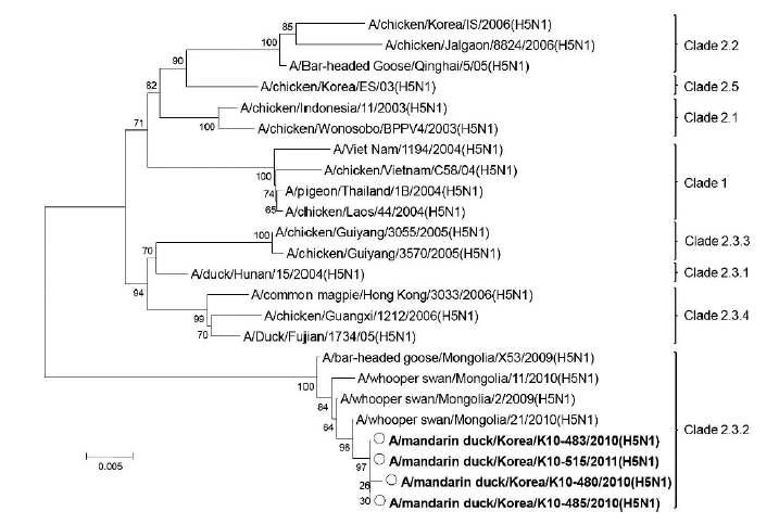 원앙에서 분리한 고병원성 조류인플루엔자 H5N1 바이러스의 유전적 특성분석