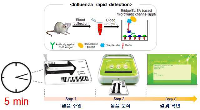 Bridging ELISA 기술이 접목된 면역 백신 효과 확인 및 진단 키트 개발