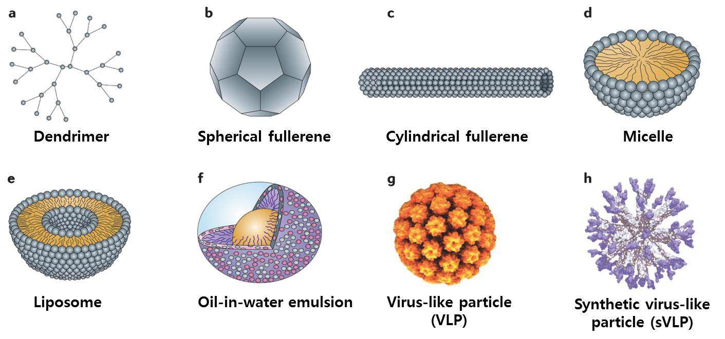 다양한 형태의 나노 구조체