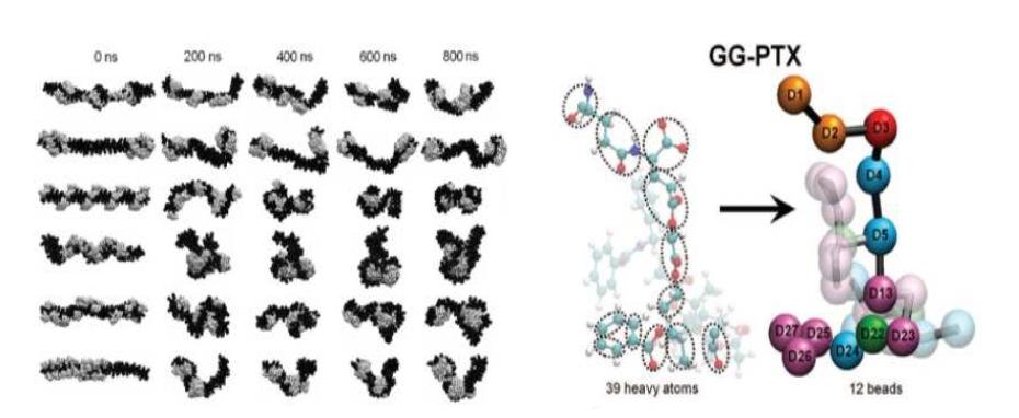 Multiscale 전산모사 모델링 기법에 의한 고분자-약물 콘쥬게이트 분자의 자기조립