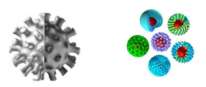 Cell dynamics 전산모사 기법을 이용한 블록공중합체 나노컨테이너 입자 모사