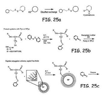 Pyridyl disulfide 활성화를 위한 나노파티클의 표면