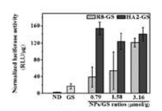 GS-NPs-HA2의 감염효율 증가