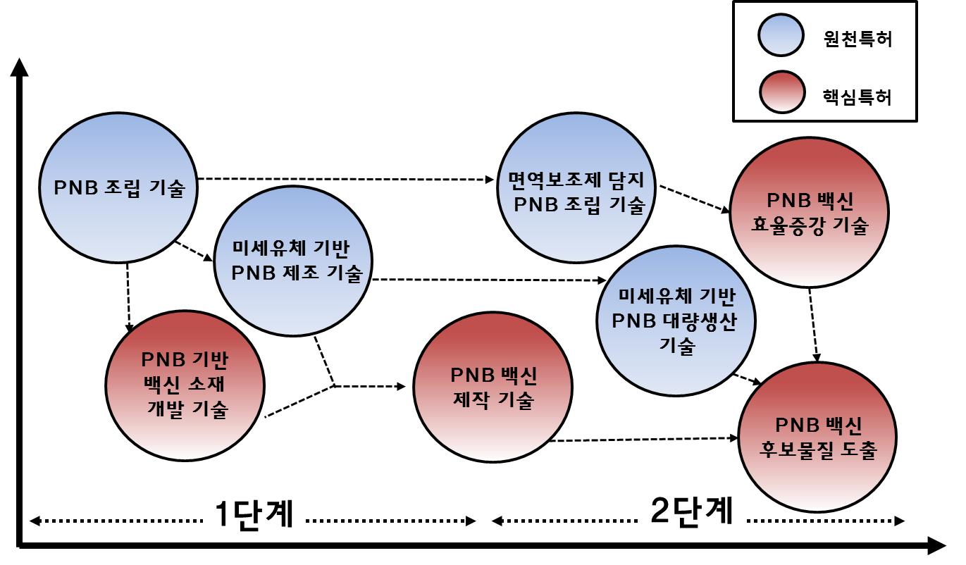 원천 및 핵심특허 포트폴리오