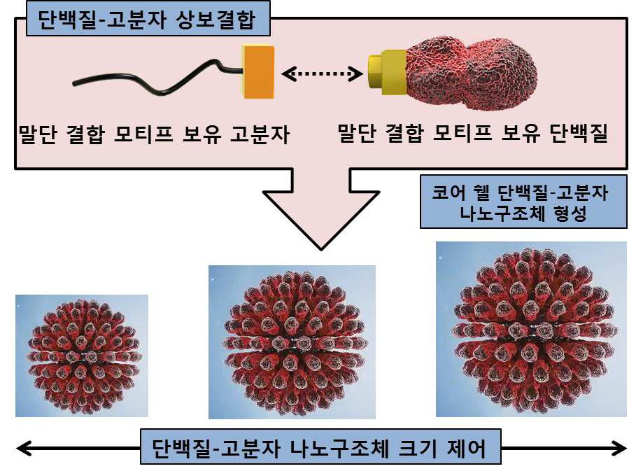 PNB 제조 및 크기 제어