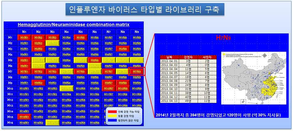 인플루엔자 감염 환자 시료 library 구축 모식도