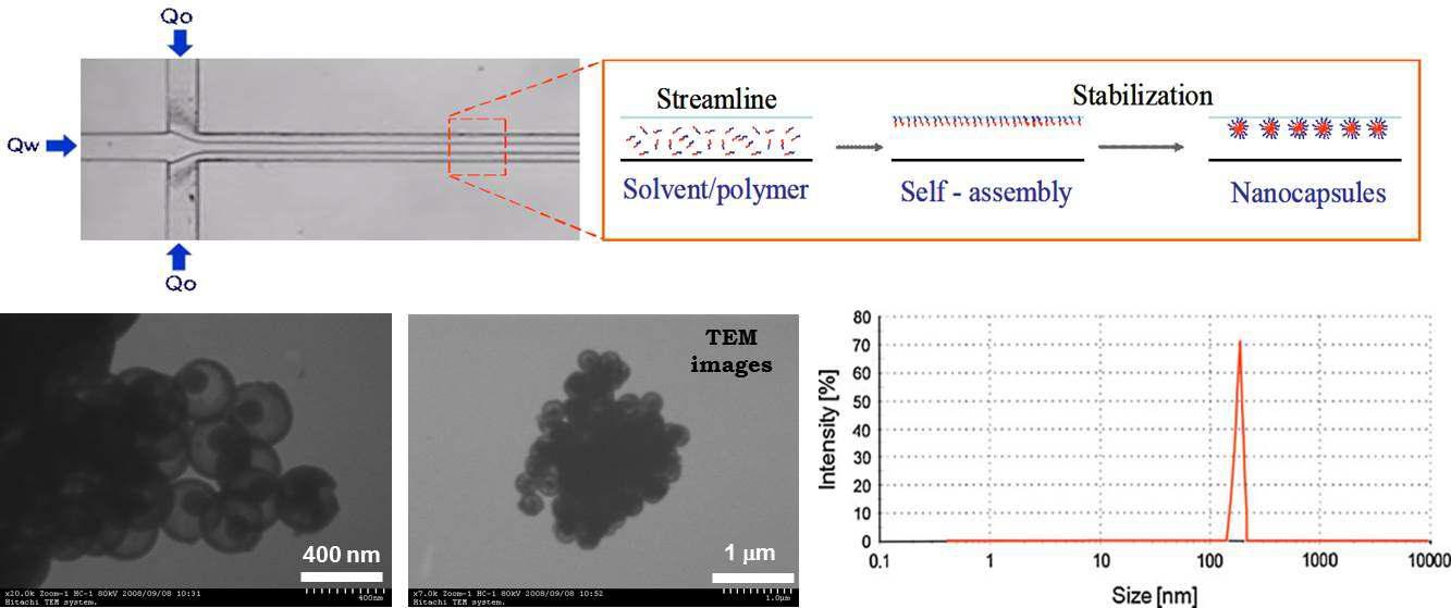 미세유체기술을 이용한 고분자기반 나노입자 연속제조 및 크기 제어 결과