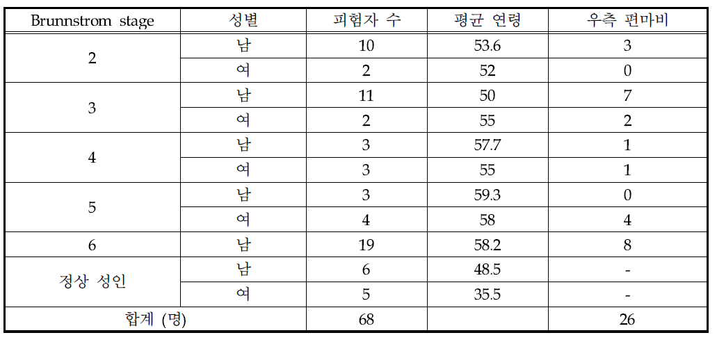 쥐는 힘 평가 피험자 특성