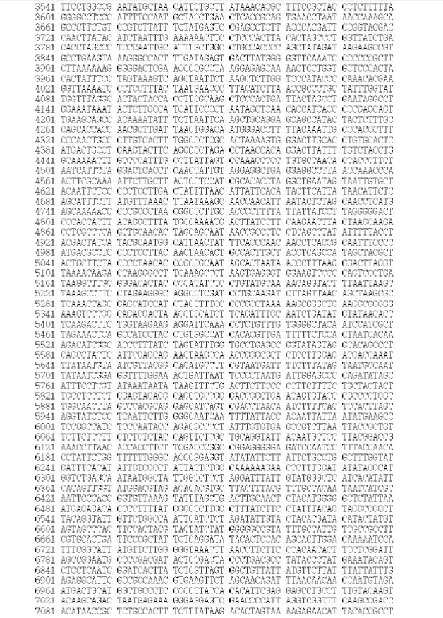 Figure 1. Sequences of the mitogenome of S. hubbsi (GenBank Accession No. KJ525745)