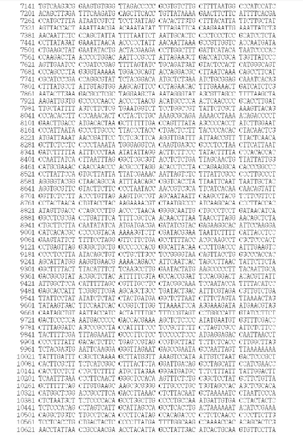 Figure 1. Sequences of the mitogenome of S. hubbsi (GenBank Accession No. KJ525745)