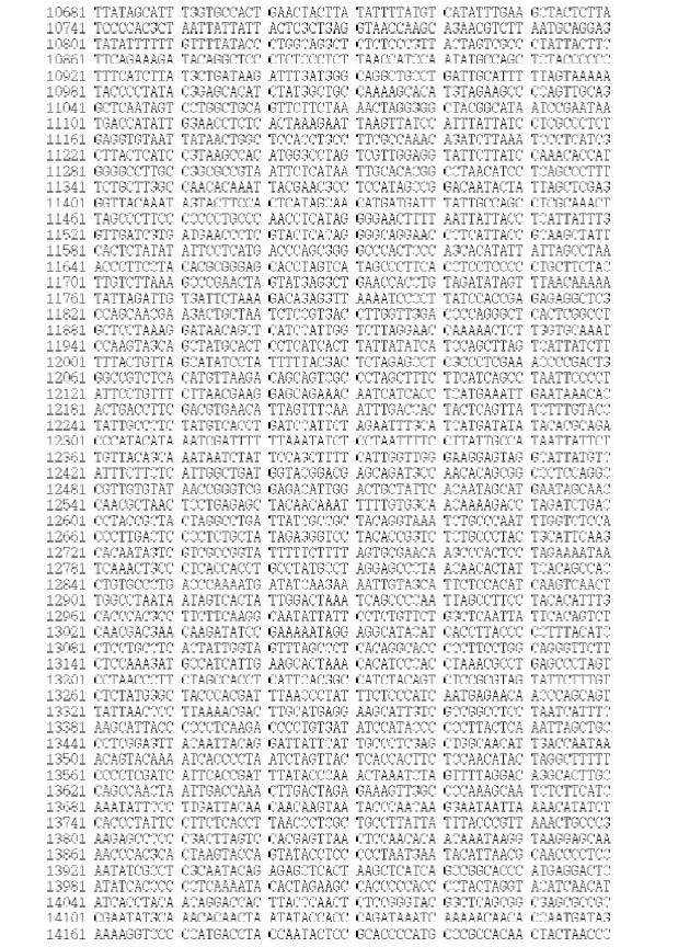 Figure 1. Sequences of the mitogenome of S. hubbsi (GenBank Accession No. KJ525745)