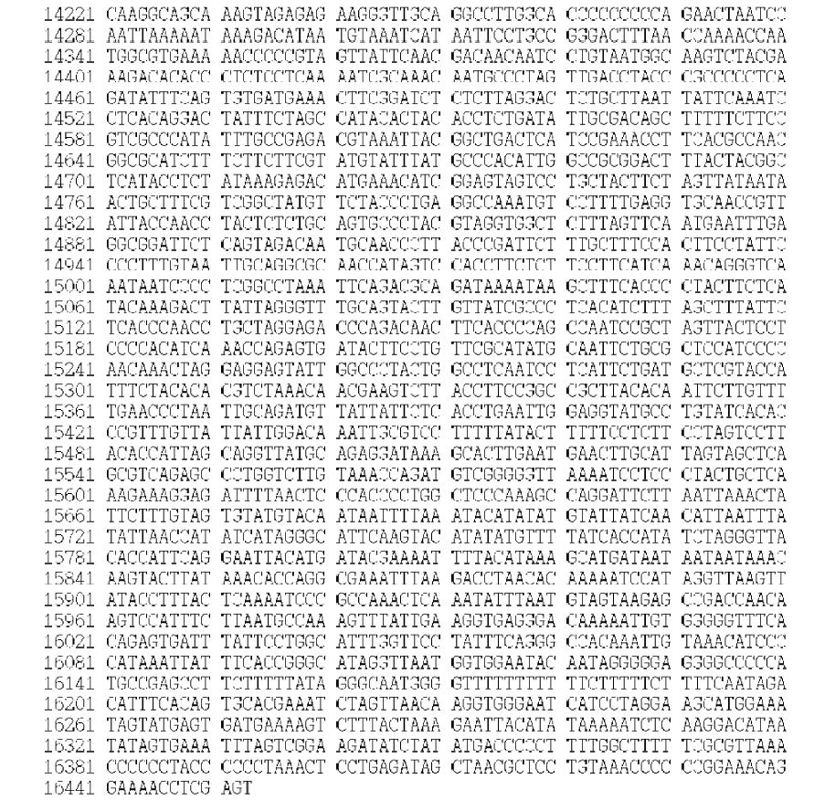 Figure 1. Sequences of the mitogenome of S. hubbsi (GenBank Accession No. KJ525745)