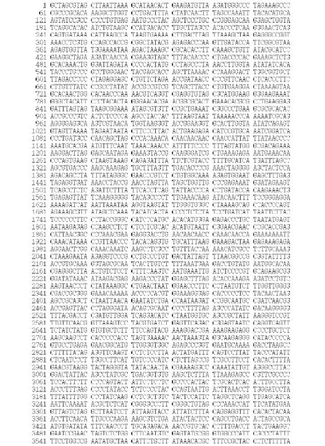 Figure 3. Sequences of the mitogenome of S. longispins (GenBank Accession No. KJ834061)