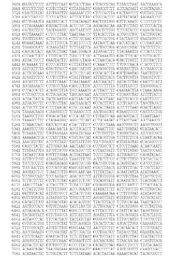 Figure 3. Sequences of the mitogenome of S. longispins (GenBank Accession No. KJ834061)