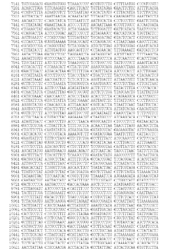 Figure 3. Sequences of the mitogenome of S. longispins (GenBank Accession No. KJ834061)