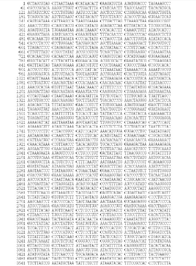 Figure 5. Sequences of the mitogenome of S. owstoni (GenBank Accession No. KJ834063)