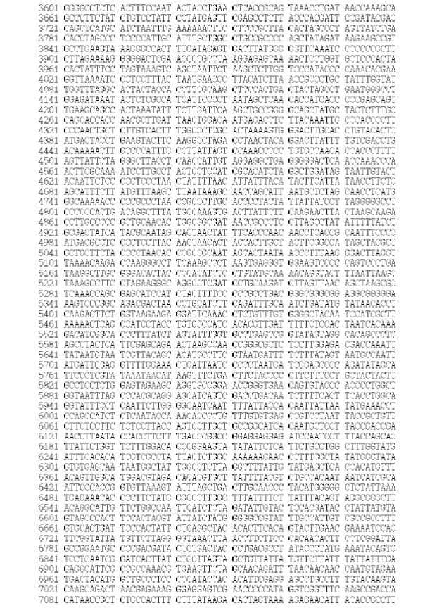 Figure 5. Sequences of the mitogenome of S. owstoni (GenBank Accession No. KJ834063)