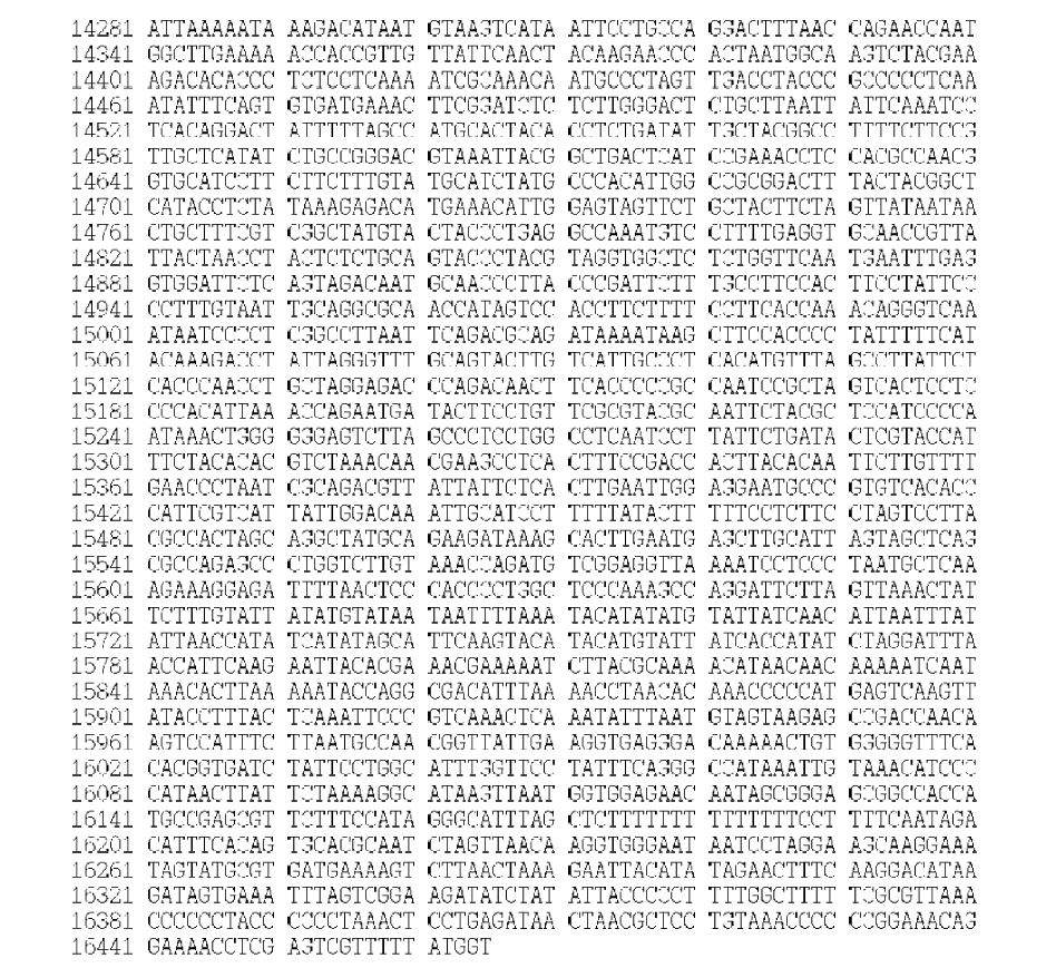 Figure 5. Sequences of the mitogenome of S. owstoni (GenBank Accession No. KJ834063)