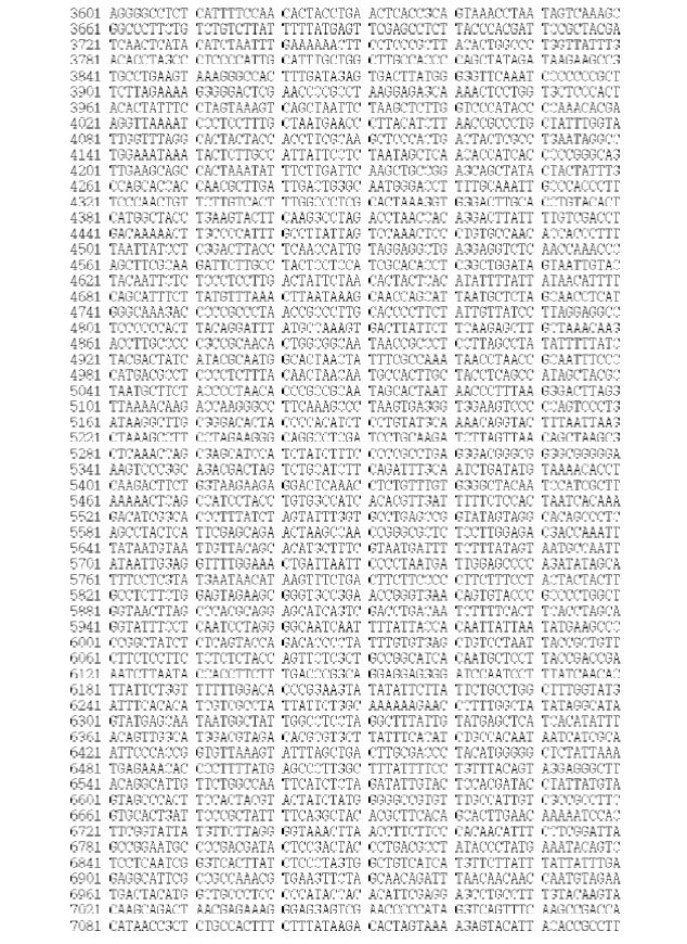 Figure 7. Sequences of the mitogenome of S. steindachneri (GenBank Accession No. KJ834060)