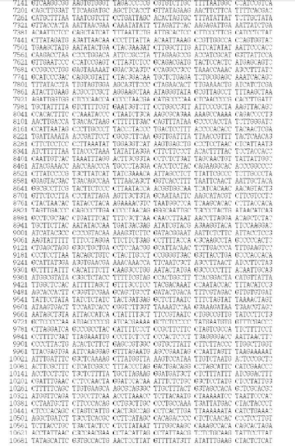 Figure 7. Sequences of the mitogenome of S. steindachneri (GenBank Accession No. KJ834060)