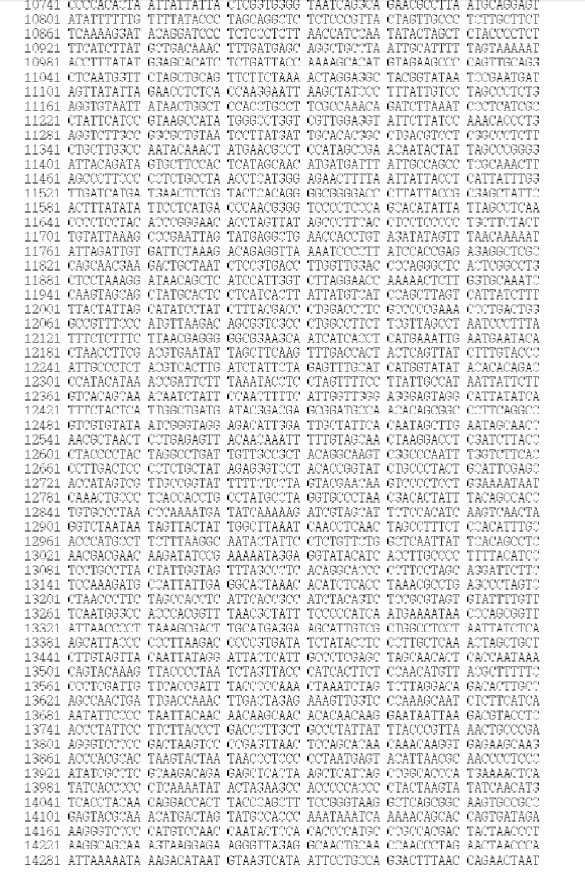 Figure 7. Sequences of the mitogenome of S. steindachneri (GenBank Accession No. KJ834060)