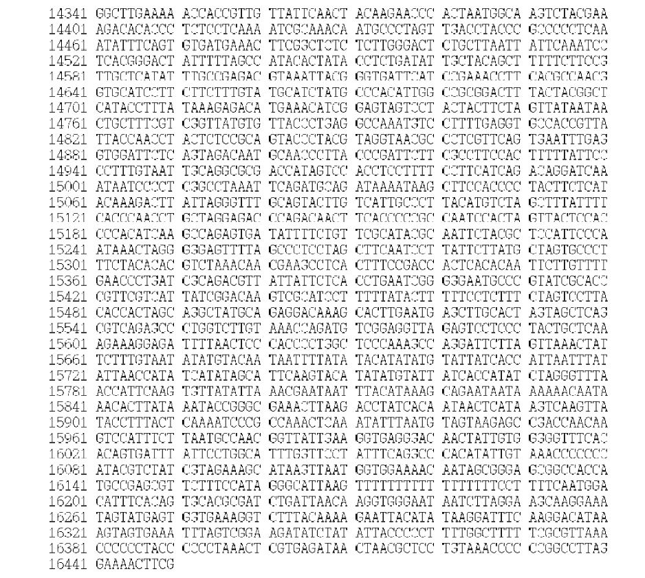 Figure 7. Sequences of the mitogenome of S. steindachneri (GenBank Accession No. KJ834060)