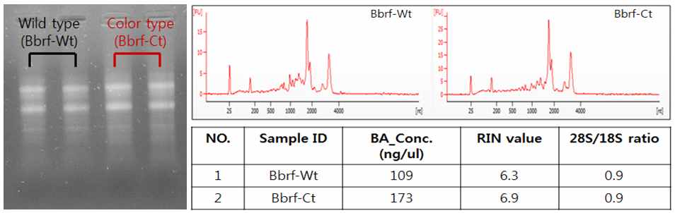 Figure 11. The result of quality assessment of total RNA