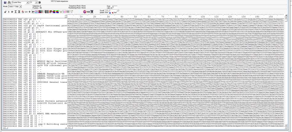 Figure 16. DNA sequences of unigene transcripts