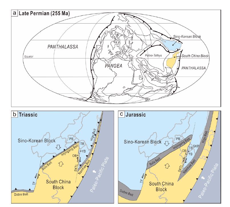 Fig. 3-5. (a) Paleogeography of the Late Permian. (b) Tectonic reconstruction of the Sino-Korean adn South China blocks in the Triassic. (c) Tectonic reconstruction in the Jurassic. Note that the indented South China Block collided againstthe Sino-Korean Block along the Qinling-Dabie, Sulu, Imjingang, and Namhae-Higo belts, forming an offset along the Tanlu Fault and the South Korean Tectonic Line. (from Chough et al., 2013).