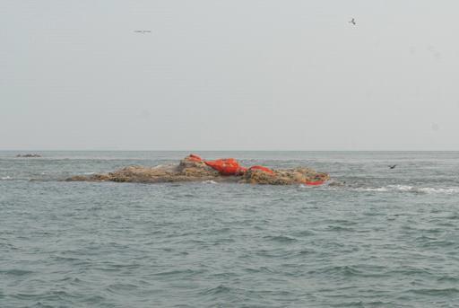 2014년 10월 23일 답사 시 발견한 물범바위의 폐그물