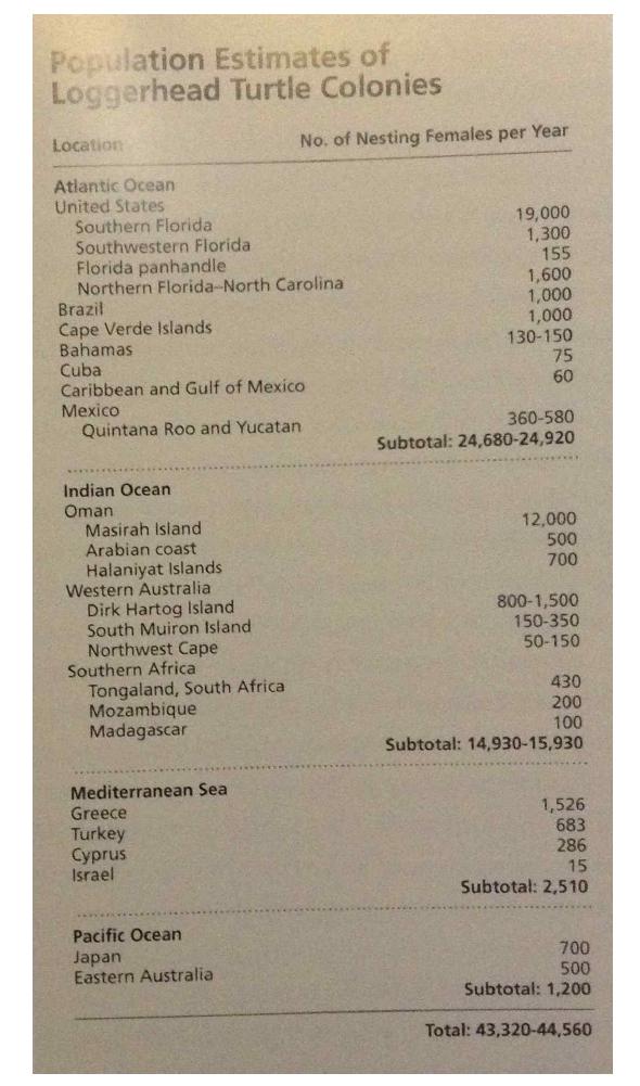 붉은바다거북의 산란지 국가 목록과 nest(산란둥지)의 수