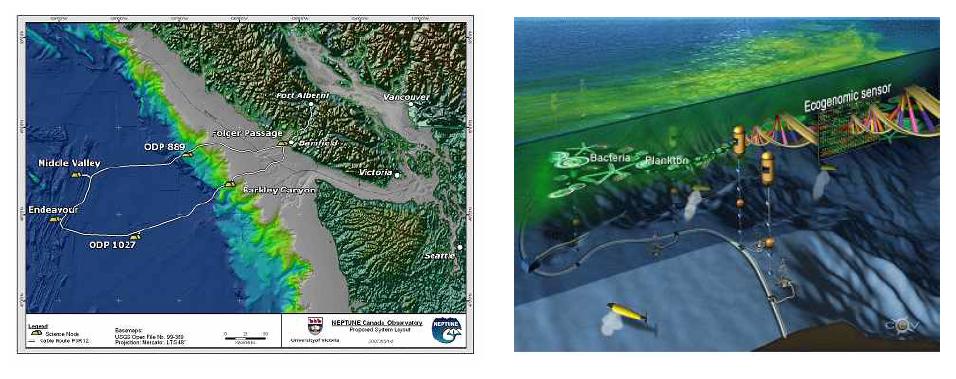 Deployment locations(left) and operating diagram(right) of NEPTUNE