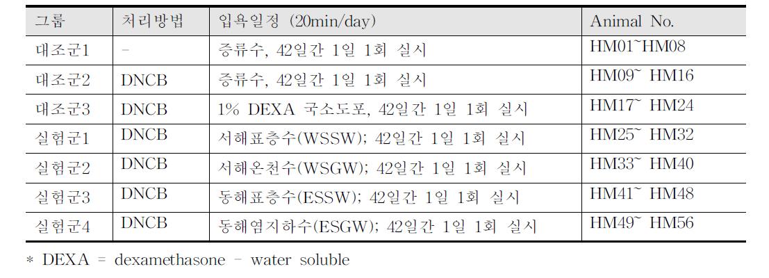 아토피 피부염 유발을 위한 실험계획