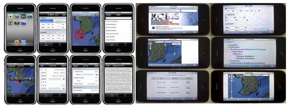 한국해양생물지리정보시스템의 모바일 앱(좌) 과 모바일 웹사이트(우)